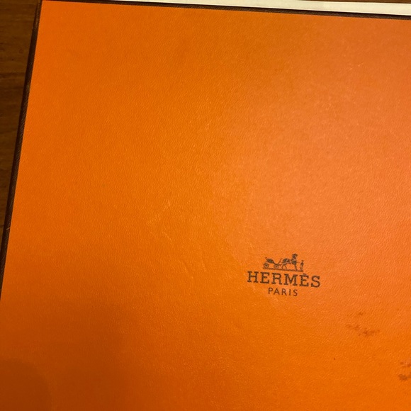 Hermes Scenic Print Scarf in Cream and Green - Picture 4 of 4